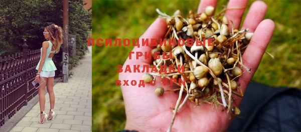 амф Алзамай