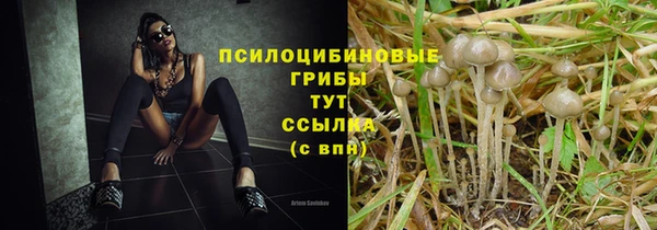 МДПВ Коряжма