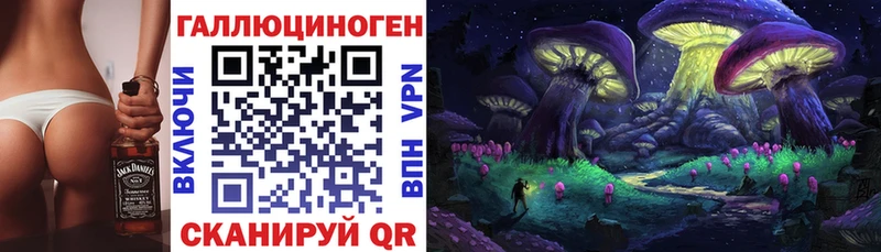 Псилоцибиновые грибы Psilocybe  сколько стоит  Долинск 